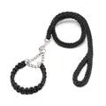 Ensemble laisse et collier pour chien en nylon tressé noir à huit brins résistant - Noir