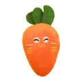 Adorable squeaky plush carrot dog chew toy with embroidered smiley face for pets play - Squeaky Plush Carrot