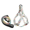 Arnés para perro con estampado de hojas y correa reflectante para mascotas - Juego de Arnés / 1.5cm*120cm / Globo Blanco Crema