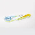 Durable blue and yellow striped dog leash with breathable mesh handle for small dogs - Pet Leash / L / Yellow