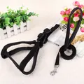 Premium durable black nylon dog harness and leash set for medium and large breeds - 1.5cm wide / Black