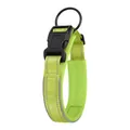 Collier réfléchissant vert néon pour chien avec doublure rembourrée et boucle robuste - Vert