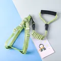 Morandi green dog harness and leash set with comfortable foam handle and linen texture - Green