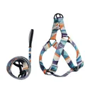 Arnés y correa para perro con diseño geométrico en verde azulado y naranja - Juego de Arnés / 1.5cm*120cm / Triángulo Multicolor