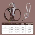 Braunes atmungsaktives Mesh-Haustiergeschirr und Leinenset mit Reflexionsstreifen für Hunde - XS / Westen-Geschirr-Set / Leinenlänge 138cm / Kaffee-grau Farbblock + Graue Leine