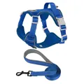Set of blue reflective dog harness and matching leash with breathable mesh detail - S / Harness Set / Blue