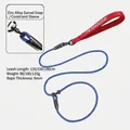Blue braided nylon slip lead dog leash with red handle and zinc alloy buckle detail - Upgraded Metal Buckle / 120cmx6mm / Red-Blue
