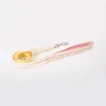 Durable yellow and pink striped nylon dog leash with secure metal hook for small pets - Pet Leash / L / Pink