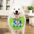 Grünes Haustier-Lätzchen aus Baumwolle mit Monster-Aufdruck für Hunde - Dreiäugiges Monster Stehende Lätzchen - Grün
