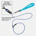 Close-up of zinc alloy buckle and detailed specs of the heavy-duty blue P-chain dog leash. - Upgraded Metal Buckle / 120cmx6mm / Light Blue