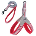 Comfortable red and grey breathable mesh pet harness and leash set with adjustable straps - S / Red