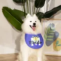 Wasserdichtes blaues Haustier-Lätzchen mit süßem Monster auf weißem Samojeden-Hund - Dreiäugiges Monster Stehende Lätzchen - Lila
