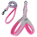 Breathable pink mesh dog harness and leash set with reflective strip for small dogs - S / Pink