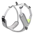 Adjustable lightweight dog harness with breathable mesh padding in grey and lime green - M / Gray