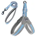 Reflective gray mesh dog harness vest and leash set with blue and white stripes - S / Gray