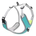 Adjustable lightweight cyan pet harness for large dogs with breathable mesh padding - M / Green