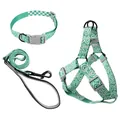 Juego de 3 piezas para perro con arnés correa y collar con estampado de ondas verdes - Set de tres piezas / 1.5cm*120cm / Nube de la Suerte Verde Hierba