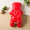 Detailed view of the glossy red fabric and padded design of the dog winter coat - XS / Red