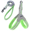 Adjustable neon green breathable mesh pet harness set with matching walking leash - S / Grass Green