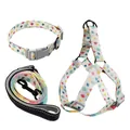 Conjunto duradero de 3 piezas para perro: arnés, correa y collar con estampado de globos color. - Set de tres piezas / 1.5cm*120cm / Globo Blanco Crema