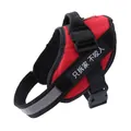Red reflective no-pull dog harness featuring a funny customized Velcro text patch - XXS (1.5-3kg) / Red
