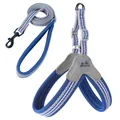 Blau-graues, atmungsaktives Mesh-Hundegeschirr und Leinenset mit Reflektorstreifen - S / Dunkelblau