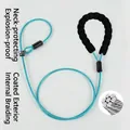 Detail view of steel wire dog slip lead with soft foam handle and blue coating - Foam Handle P-Rope (Single Buckle) / Thickness 5mm * Length 70cm / Lake Blue