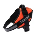 Reflektierendes oranges Hundegeschirr mit verstellbaren Sicherheitsgurten und Griff - XXS (1.5-3kg) / Orange