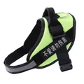 Reflektierendes lindgrünes Hundegeschirr mit verstellbaren Gurten und Patch-Design - XXS (1.5-3kg) / Grün