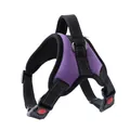 Purple adjustable anti-pull dog harness with durable black straps and red buckles - XS / Purple
