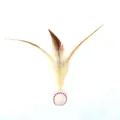 Detailed view of cat teaser toy featuring a baseball bouncy ball and natural feathers - Baseball Shape (Small) / Small Single / Baseball (Small)