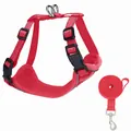 Harnais pour chat en maille rouge respirante avec laisse en nylon de 1,2m assortie - M / Ensemble Harnais & Laisse / Rouge