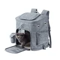 Large grey Oxford cloth breathable pet carrier backpack with window for cats and dogs - Regular Style (QS-002-L-T) / Light Gray