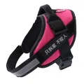 Hochsichtbares pinkes reflektierendes Hundegeschirr mit Softgriff und Klettpatch - XXS (1.5-3kg) / Fuchsia