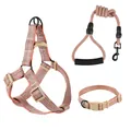 Pet dog harness, leash, and collar set with orange woven pattern and durable buckles - 3-Piece Set (Harness, Leash, Collar) (EPT-5551) / 6mm*120cm (Suitable for 3-8 jin) / Orange
