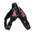 Hundegeschirr mit Union Jack Flaggenmuster und langlebigen Nylonbändern - US-Flaggen-Stil