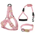 High-quality detailed view of the pink woven dog harness, leash, and collar set - 3-Piece Set (Harness, Leash, Collar) (EPT-5551) / 6mm*120cm (Suitable for 3-8 jin) / Pink