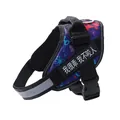 Reflektierendes Hundegeschirr mit Klett-Patch und blauem Muster für kleine Hunde - XXS (1.5-3kg) / Sternenblau