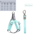 Adjustable mint green dog harness and leash set with size chart for small to large dogs - Green