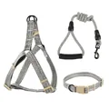 Detailed view of the grey heathered dog harness leash and collar set components - 3-Piece Set (Harness, Leash, Collar) (EPT-5551) / 6mm*120cm (Suitable for 3-8 jin) / Gray