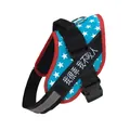 Reflektierendes blaues Hundegeschirr mit Sternenmuster und Klettverschluss-Patch - XXS (1.5-3kg) / Blauer Stern