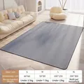 Large grey durable cat scratcher mat and pet rug available in multiple sizes for living room - S (60x40cm) / Gray