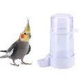 Automatic parrot water dispenser with white base shown next to a cockatiel bird - 415ml (306#) / Clear