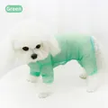 Atmungsaktiver minzgrüner Mesh-Hundeanzug für kleine Hunde im Sommer - Größe XS (Passend für 0.5-1kg) / Vierbeinige Kleidung aus Netzstoff / Grün