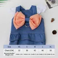 Blue denim pet princess dress featuring an orange gingham bow and white lace sleeves - S / Denim Fly Sleeve / Light Blue