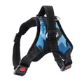 Stabiles blaues Camouflage-Hundegeschirr mit robustem Griff und roten Sicherheitsschnallen - Camo Blau