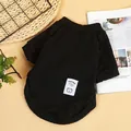 Gemütlicher schwarzer Strickpullover für Hunde mit Lucky Bear-Aufnäher für den Winter - XS / Schwarz (Bär)