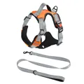 Professional orange and grey mesh vest dog harness set with matching leash detail - M / Harness & Leash Set / Orange