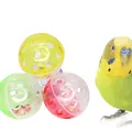 Gedetailleerd overzicht van kleurrijke holle vogel speelballen met interne belletjes - Set van 3