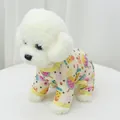 Hunde-Sommerpyjama mit niedlichen Cartoon-Obstdrucken auf atmungsaktivem gelbem Netzstoff - Größe XS (Passend für 0.5-1kg) / Vierbeinige Kleidung aus Netzstoff / Sommer Eis am Stiel